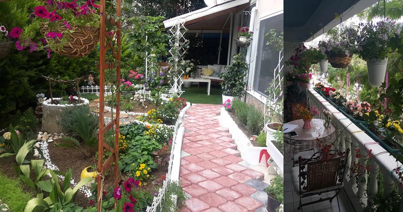 En güzel balkon ve bahçeler seçiliyor