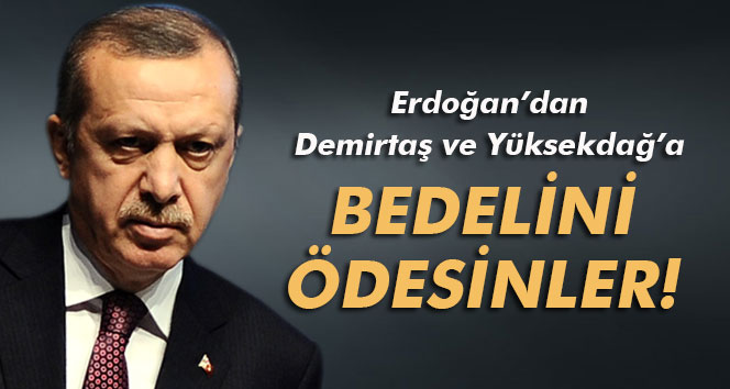Erdoğan'dan Demirtaş ve Yüksekdağ'a: Bedel ödemeliler