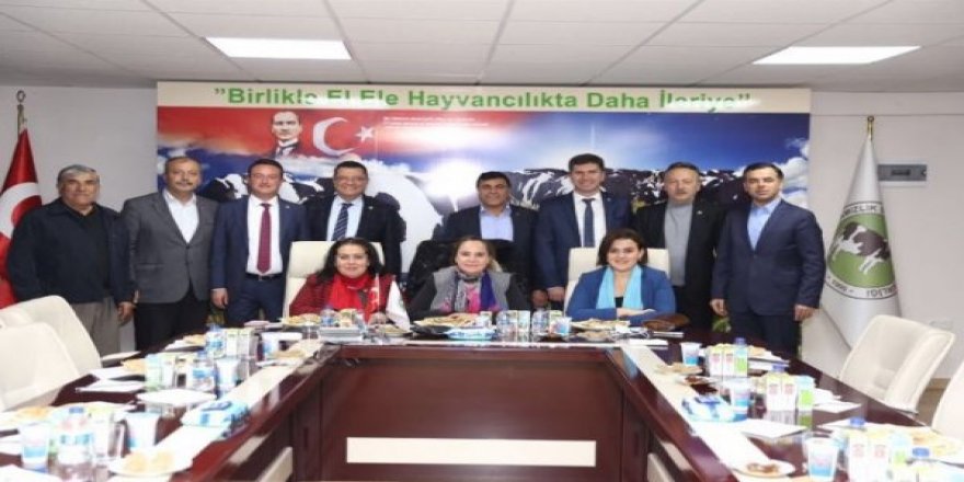 Erdoğan, Krizin Sorumluluğunu Yıldırım'ın Üzerine Atabilir