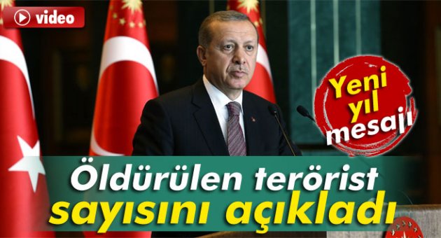 Erdoğan öldürülen terörist sayısını açıkladı