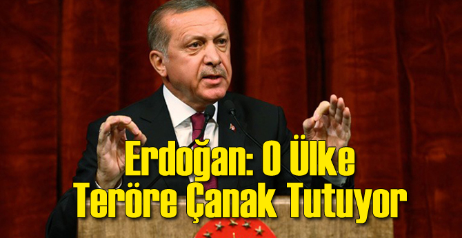 Erdoğan: O Ülke Teröre Çanak Tutuyor