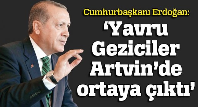 Erdoğan: Yavru 'Gezici'ler Artvin'de ortaya çıktı