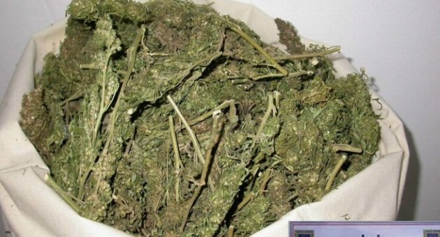 Esrar partisine polis baskını