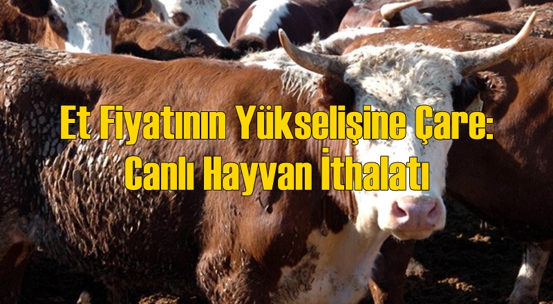 Et Fiyatlarını Canlı Hayvan İthalatı ile Dizginlemeye Çalışacaklar
