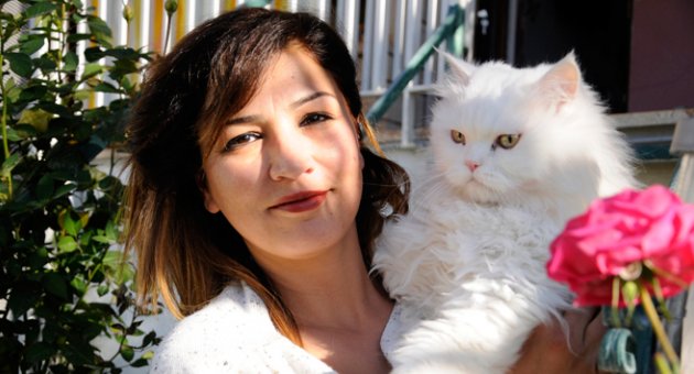 Evde kedi beslemeye mahkeme onayı