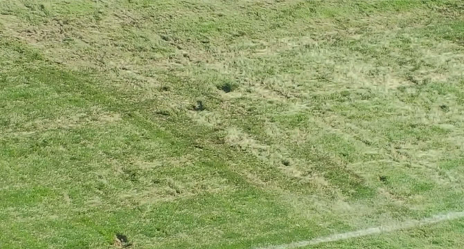 Fenerbahçe tepki gösterdi stat değişti