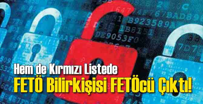 FETÖ Bilirkişisi FETÖcü Çıktı