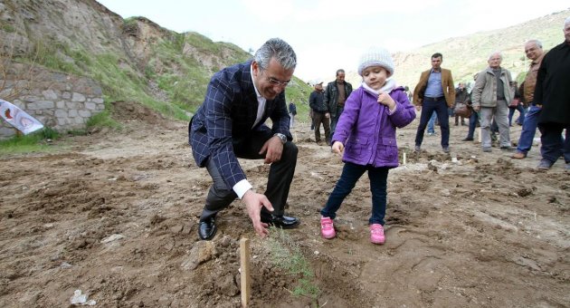 Fidan dikmeyene ruhsat yok