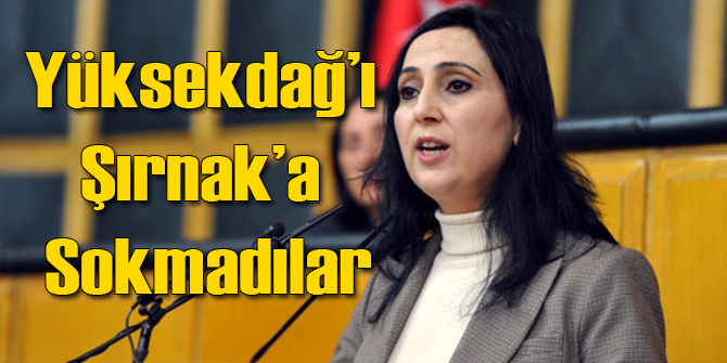 Figen Yüksekdağı Şırnak'a Sokmadılar