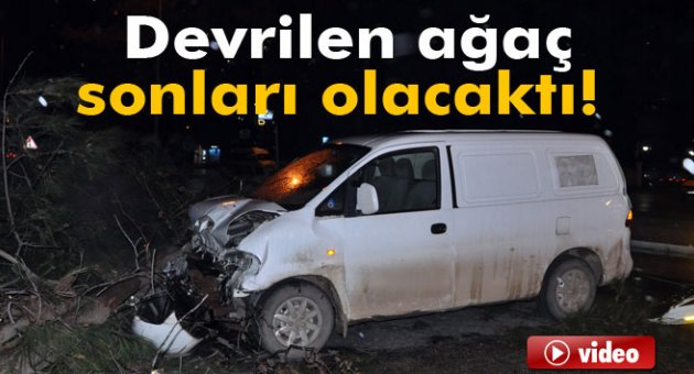 Fırtınada devrilen ağaç sonları olacaktı