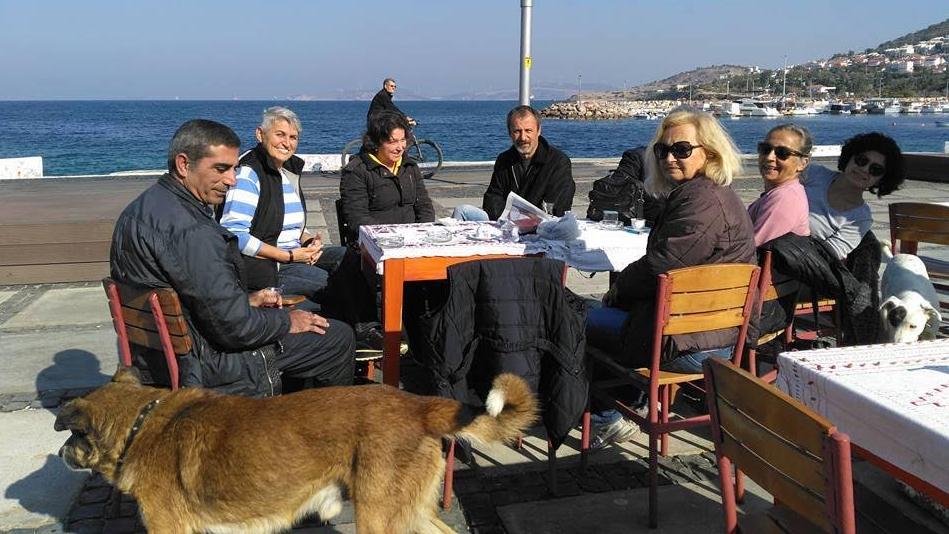 Foçalı hayvan severlerden yardım isteği