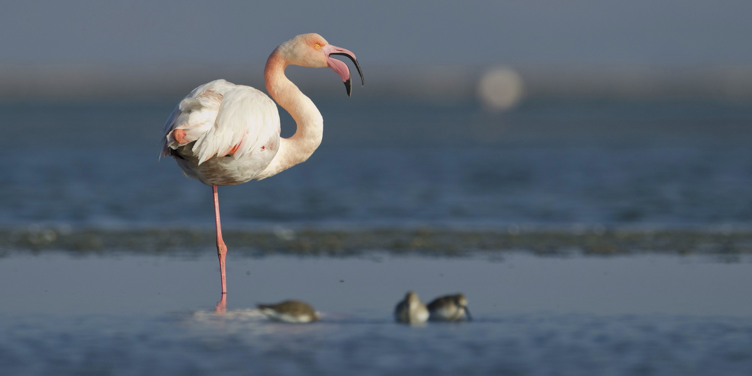 Foto Safari’de ödül zamanı