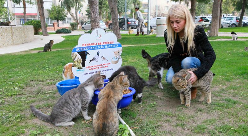 Gelin can dostlarımızı birlikte koruyalım