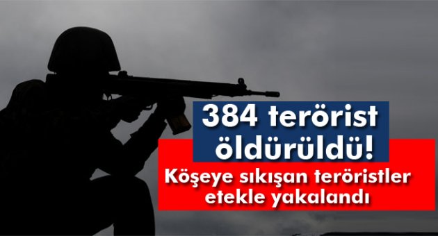 Genelkurmay Başkanlığı: ‘384 terörist öldürüldü’