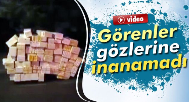Görenler gözlerine inanamadı
