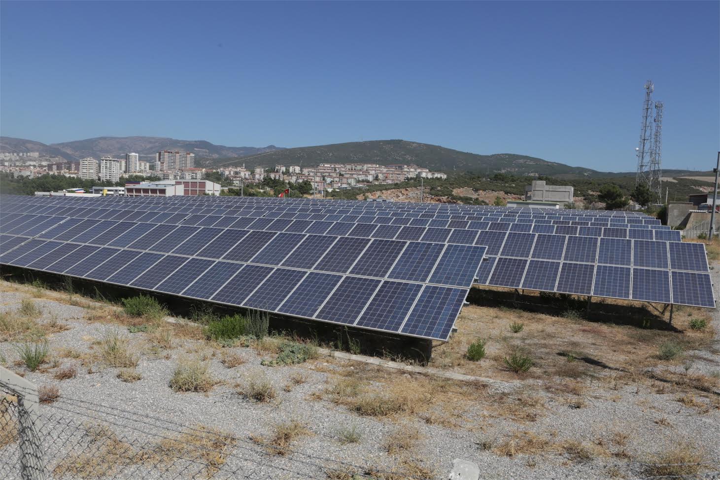 Greenpeace Bornova’yı tüm dünyaya örnek gösterdi