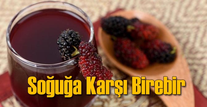 Gribe Karşı Güçlü Bir Silah: Karadut Suyu