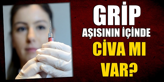 Grip aşısının içeriğinde civa mı var?