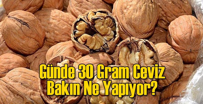 Günde 30 Gram Ceviz Bakın Ne Yapıyor?