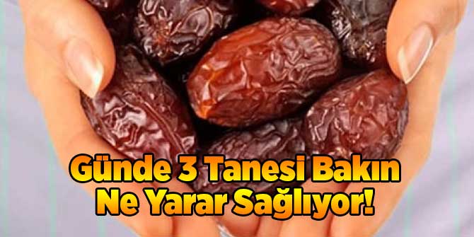 Günde 3 Tanesi Bakın Ne Yarar Sağlıyor!