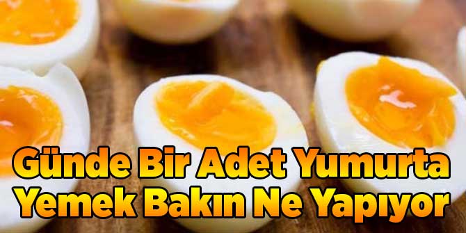 Günde Bir Adet Yumurta Yemek Bakın Ne Yapıyor