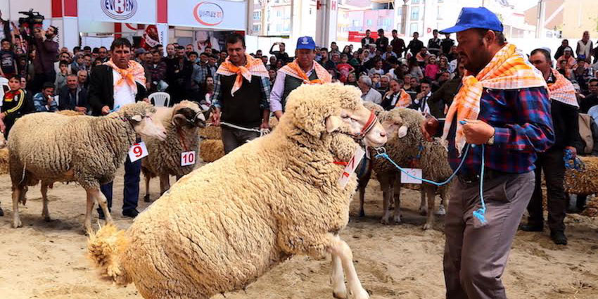 Güzeller podyumu salladı