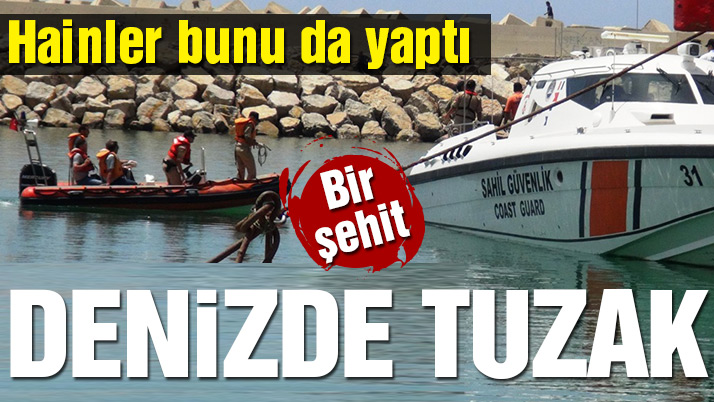 Hainler Bunu'da Yaptı