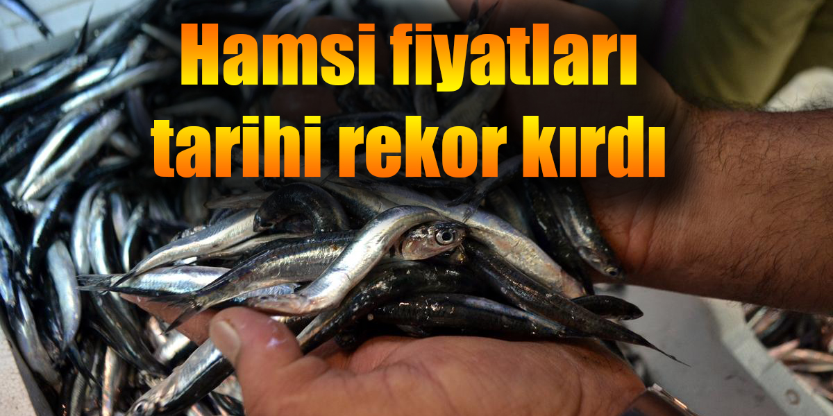 Hamsi fiyatları tarihi rekor kırdı
