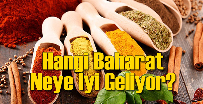 Hangi Baharat Neye İyi Geliyor?
