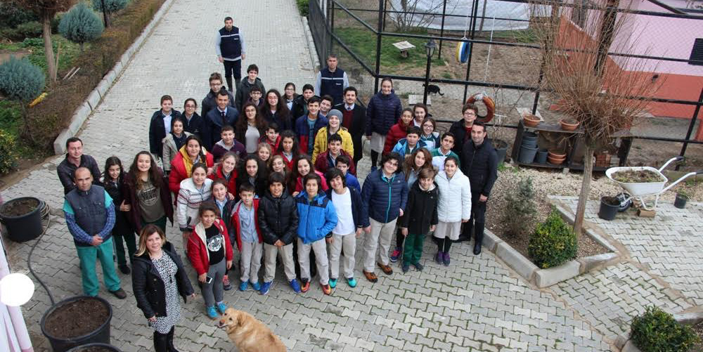 Hayvan Barınağı ziyaretçileri