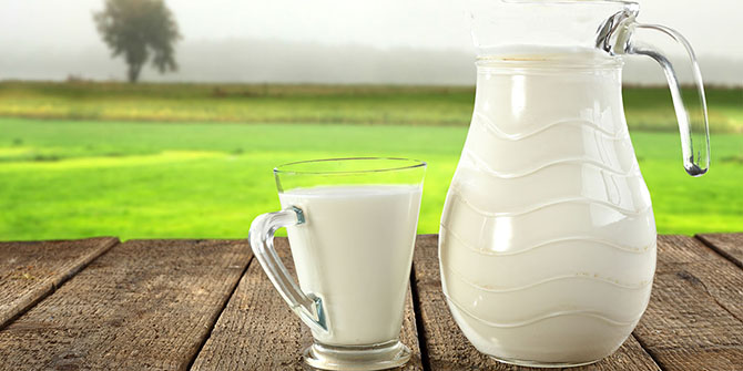 Hayvancılığın kurtuluşu sütte