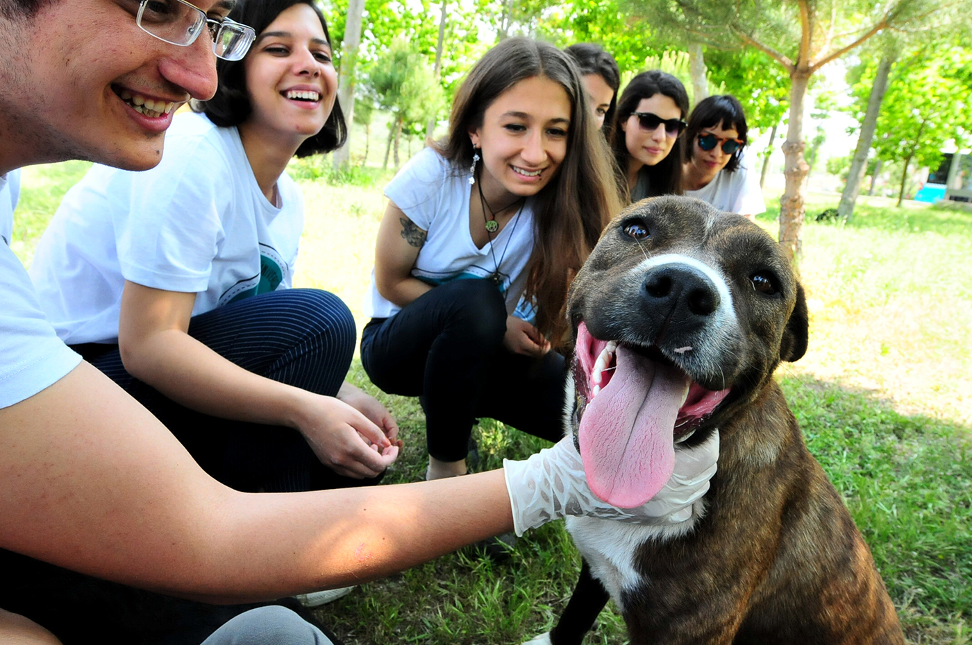 Hayvanların gönüllü dostları oldular