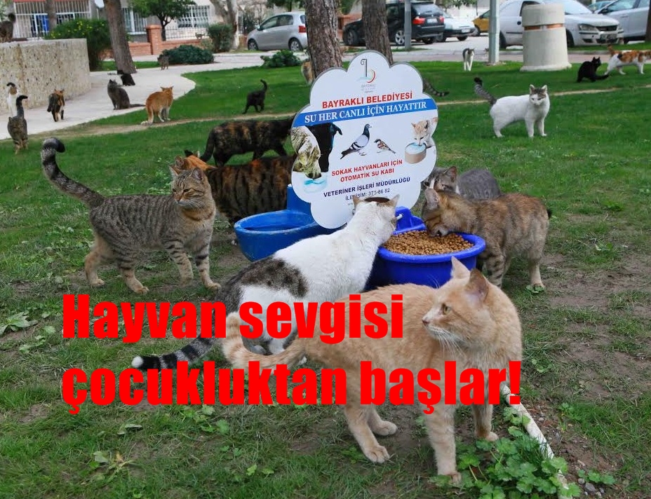 Hayvan Sevgisi Çocukluktan Başlar!