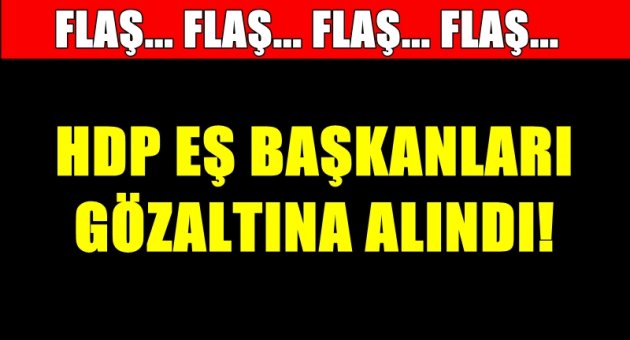 HDP eş başkanları gözaltına alındı