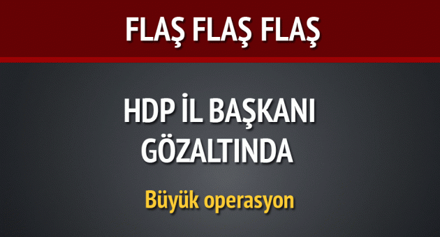 HDP İl Başkanı gözaltında