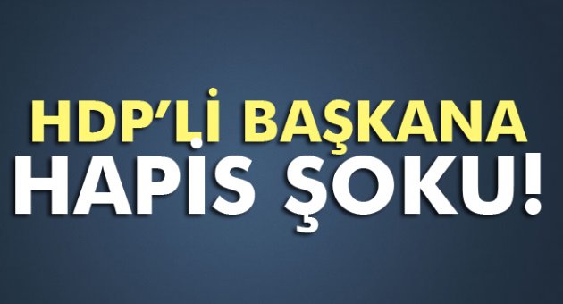 HDP’Lİ BAŞKANA HAPİS ŞOKU!