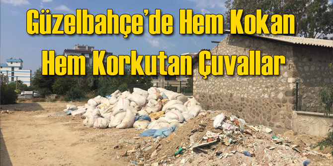 Hem Kokan Hem Korkutan Çuvallar