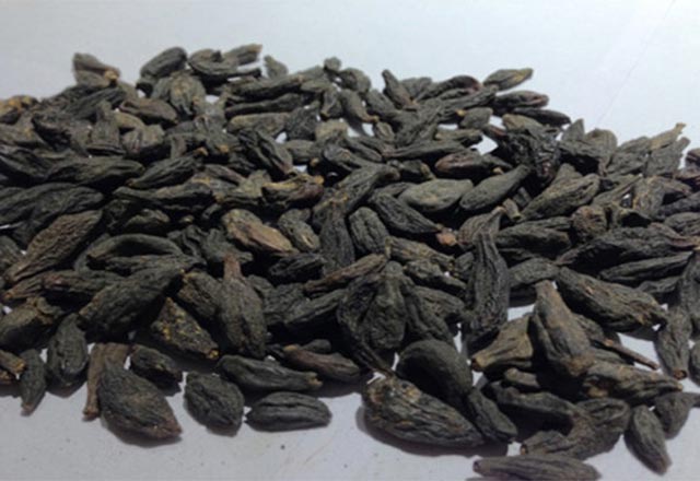 Hemoroide iyi gelen bitki Karahalile