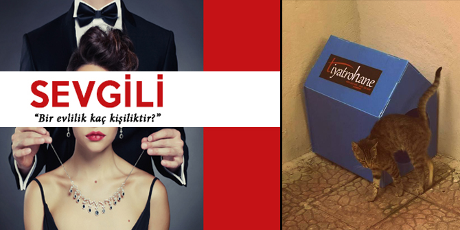 Her bilet bir patihane