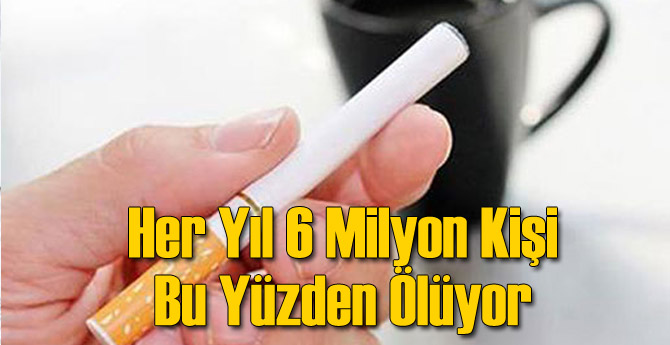 Her Yıl 6 Milyon Kişi Bu Yüzden Ölüyor