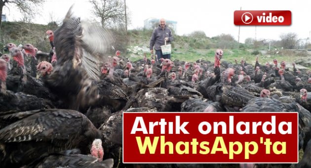 Hindiler de artık Whatsapp'ta...