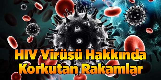 HIV Virüsü Hakkında Korkutan Rakamlar