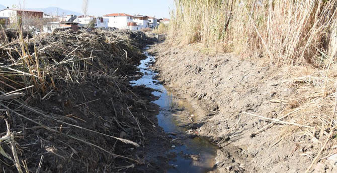 Horozköy'de Dereler Temizleniyor