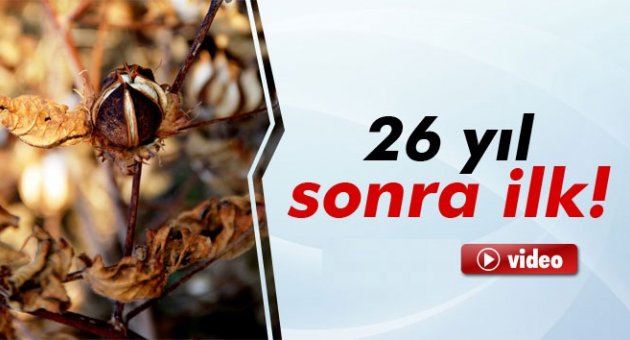 Iğdır’da 26 yıl sonra ilk!