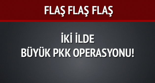 İki ilde gerçekleşen operasyonda 17 PKK'lı gözaltına alındı!