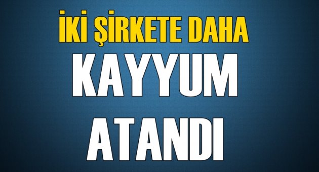 İki şirkete daha kayyum atandı