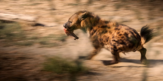 İnanılmaz; ama burası İzmir!