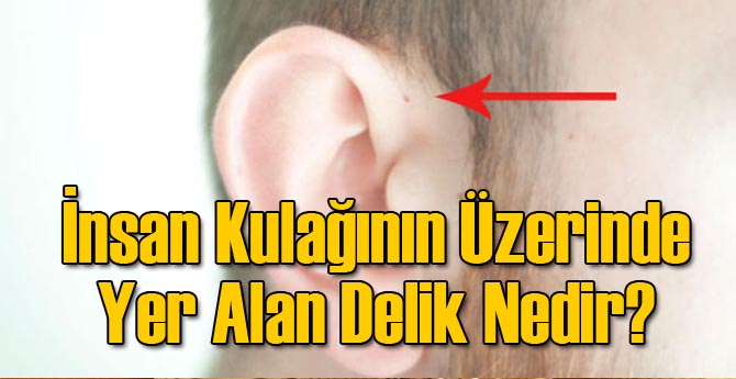 İnsan Kulağının Üzerinde Yer Alan Delik Nedir?