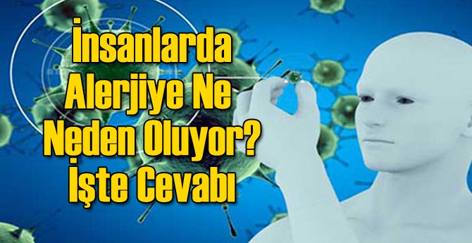 İnsanlarda Alerjiye Ne Neden Oluyor? İşte Cevabı