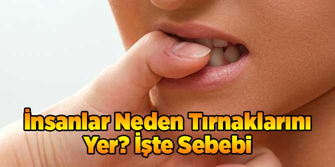 İnsanlar Neden Tırnaklarını Yer? İşte Sebebi